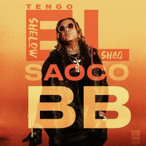 Shelow Shaq Ft. Tito El Bambino – Tengo El Saoco BB